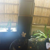 фото из отзыва ID 809328