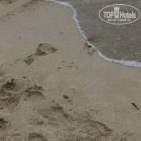 фото из отзыва ID 809380