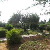 фото из отзыва ID 809540