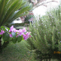 фото из отзыва ID 809203