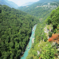 фото из отзыва ID 809728