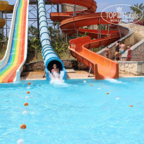 фото из отзыва ID 809737