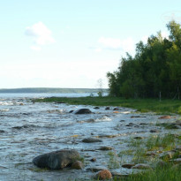 фото из отзыва ID 809825