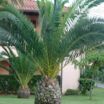 фото из отзыва ID 809896