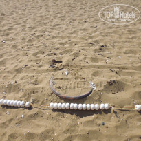 фото из отзыва ID 809898