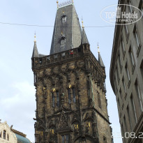 фото из отзыва ID 809332