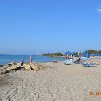 фото из отзыва ID 810064