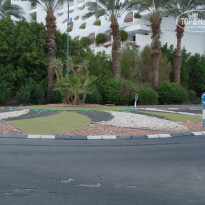 фото из отзыва ID 810202