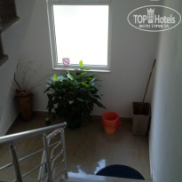 фото из отзыва ID 810944