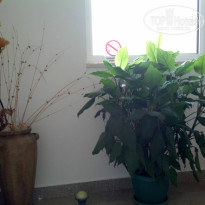 фото из отзыва ID 810944