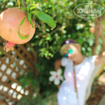 фото из отзыва ID 810138