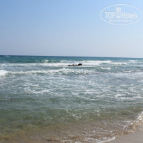 фото из отзыва ID 810138