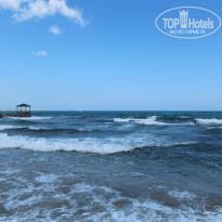 фото из отзыва ID 810138