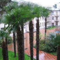 фото из отзыва ID 811260