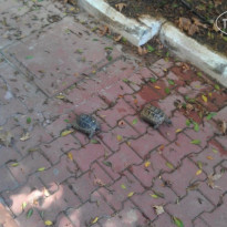 фото из отзыва ID 811326