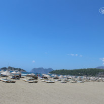 фото из отзыва ID 811462