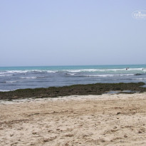 фото из отзыва ID 811653