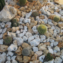 фото из отзыва ID 811825