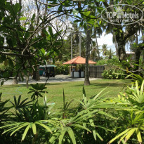 фото из отзыва ID 811964