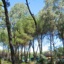 фото из отзыва ID 811684