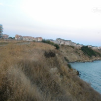 фото из отзыва ID 812167