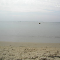 фото из отзыва ID 812167