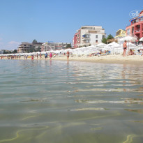 фото из отзыва ID 812167