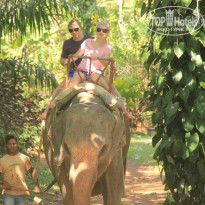 фото из отзыва ID 812289