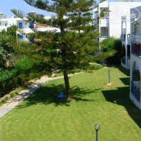 фото из отзыва ID 812475