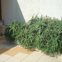 фото из отзыва ID 812526