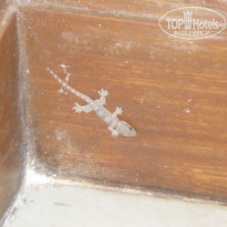 фото из отзыва ID 812847