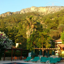 фото из отзыва ID 812941