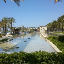 фото из отзыва ID 812955