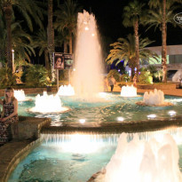 фото из отзыва ID 812955