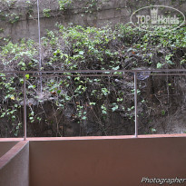 фото из отзыва ID 812313