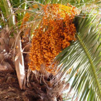 фото из отзыва ID 81273