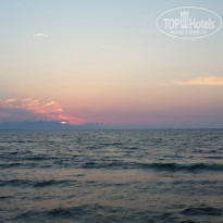 фото из отзыва ID 813022