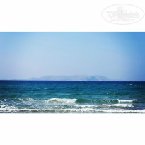 фото из отзыва ID 813022