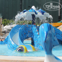 фото из отзыва ID 813220