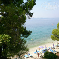 фото из отзыва ID 813302