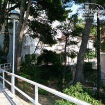 фото из отзыва ID 813302