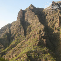 фото из отзыва ID 813355