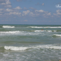 фото из отзыва ID 813380