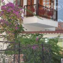 фото из отзыва ID 813388