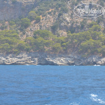 фото из отзыва ID 813388