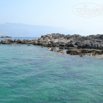 фото из отзыва ID 813388