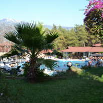 фото из отзыва ID 813388