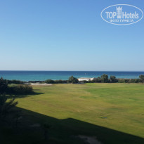 фото из отзыва ID 813408