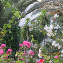 фото из отзыва ID 813835