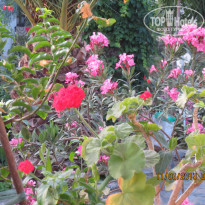 фото из отзыва ID 813835